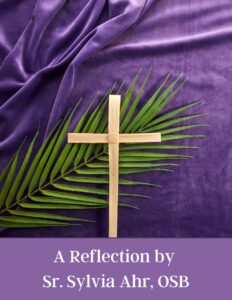 Sr. Sylvia's Reflection Graphic - Feb 2024